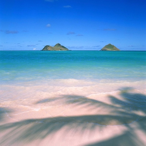 Meet your Posher, Jo - Picture 4 of 7